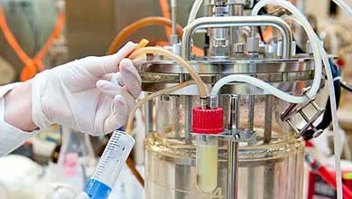 Gloved hand injecting a syringe into a tube connected to a glass and steel bioreactor in a lab.